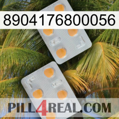 8904176800056 25